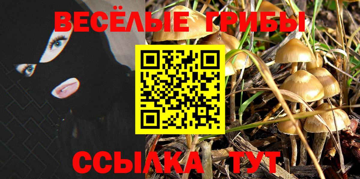 Псилоцибиновые грибы Cubensis Соль-Илецк